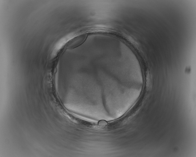 X0000114391453200911061504