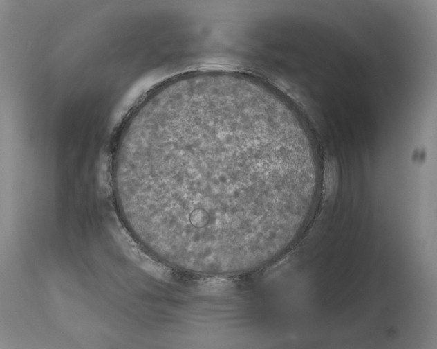 X0000114391454200911061504