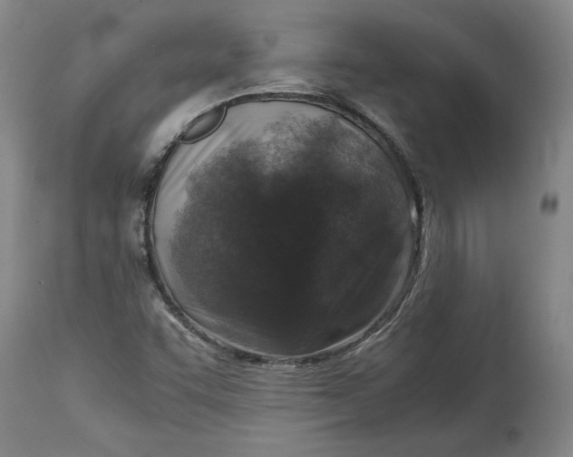 X0000114391455200911061504