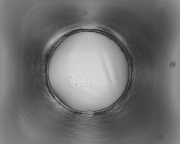 X0000114391456200911061504