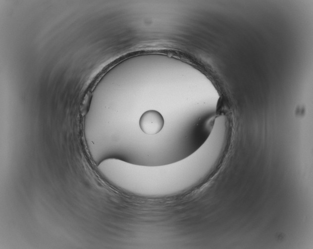 X0000114391457200911061504