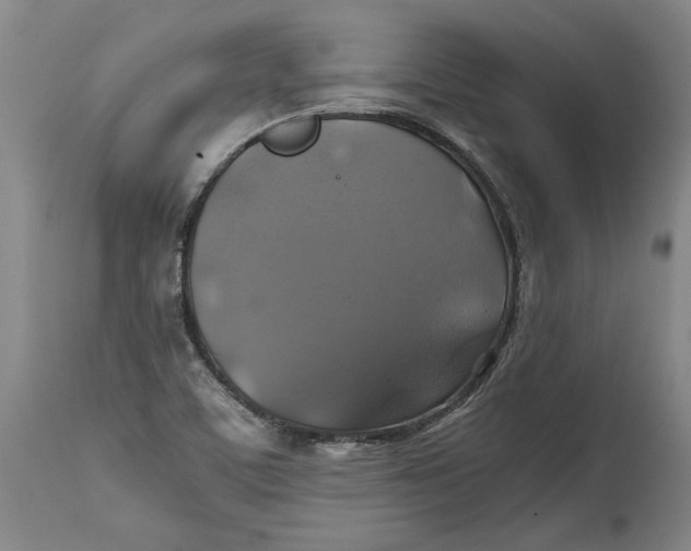 X0000114391459200911061504