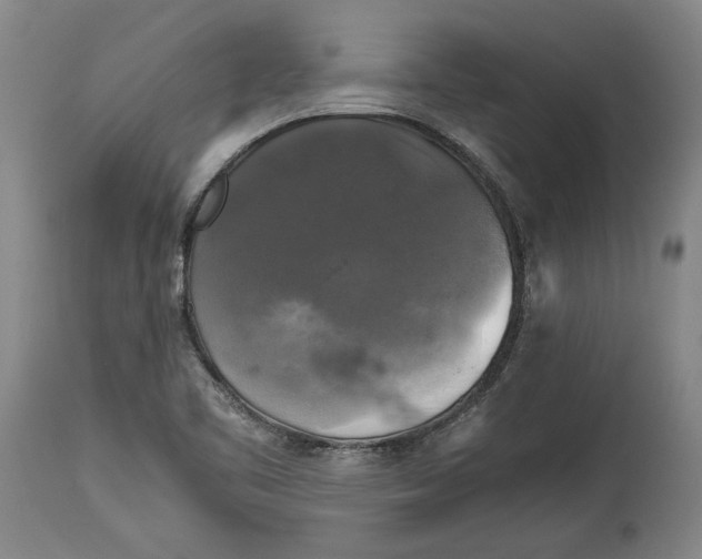 X0000114391461200911061504