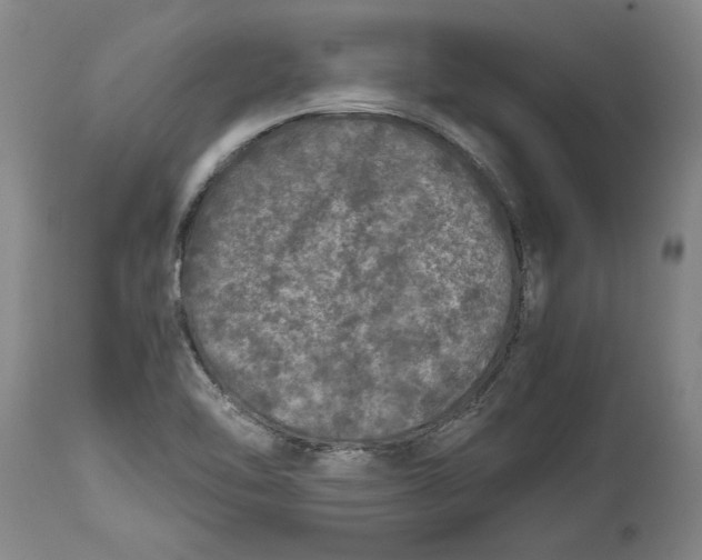 X0000114391462200911061504