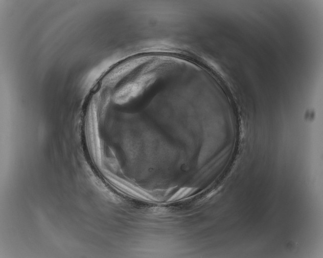 X0000114391463200911061504