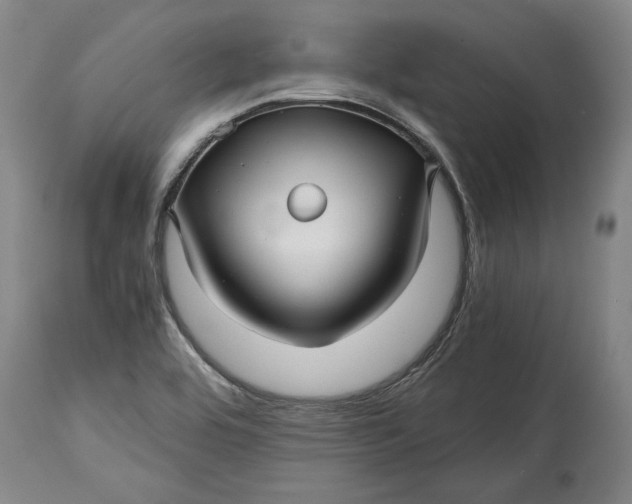 X0000114391464200911061504