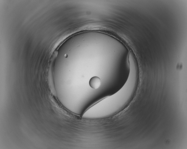 X0000114391465200911061503