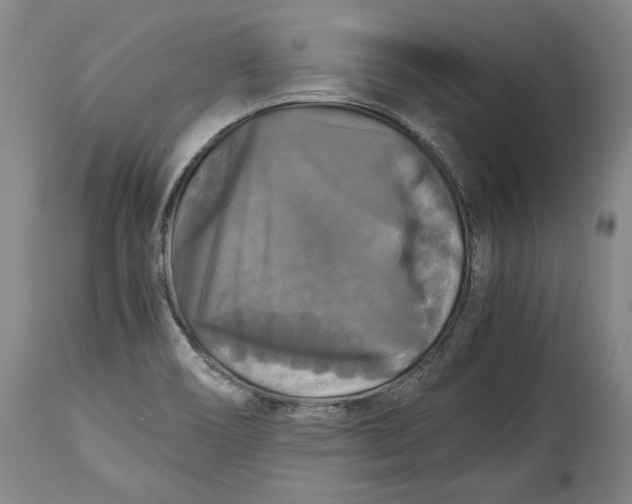 X0000114391466200911061503