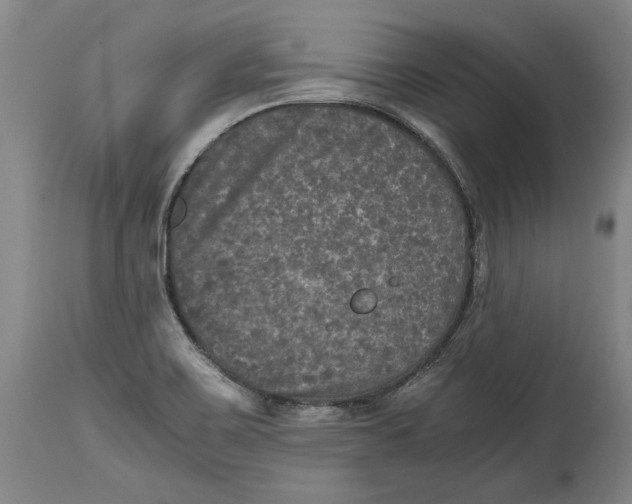 X0000114391467200911061503