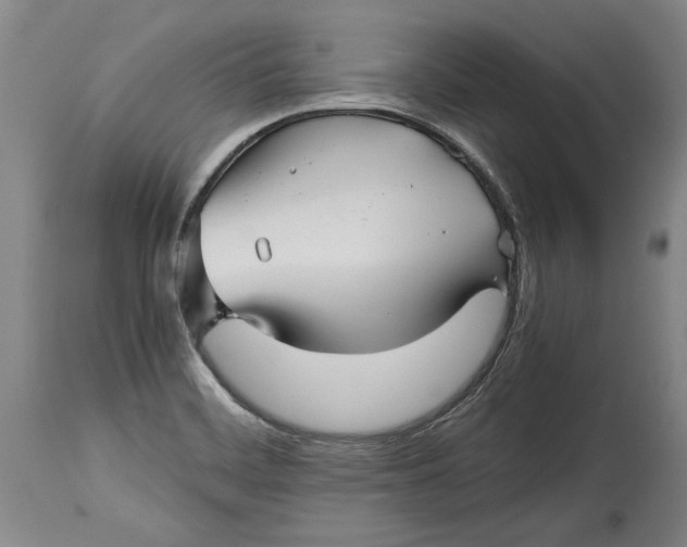 X0000114391468200911061503