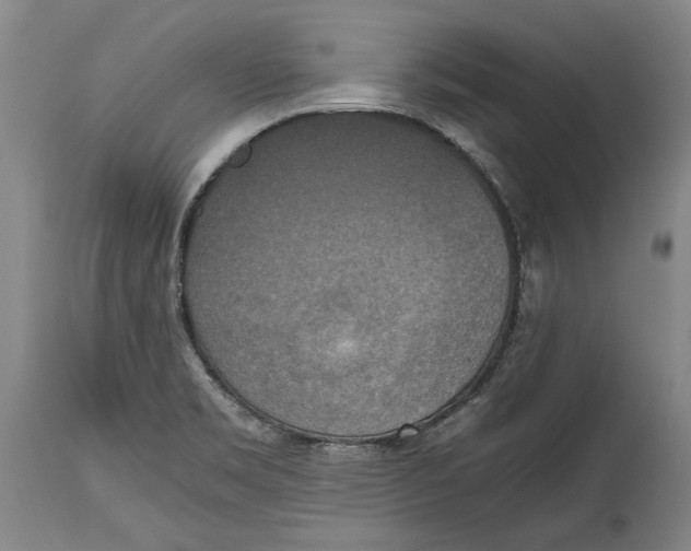X0000114391469200911061503