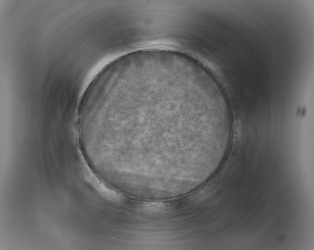 X0000114391470200911061503