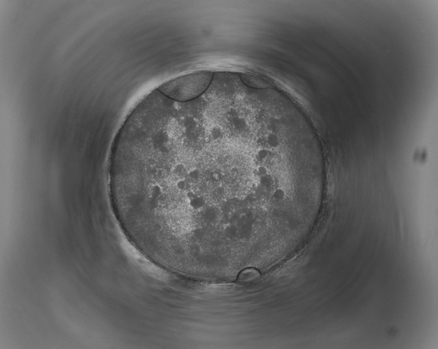 X0000114391471200911061503
