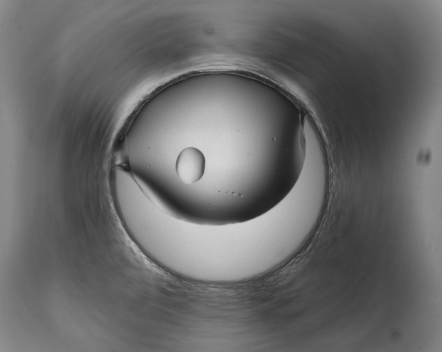 X0000114391472200911061503