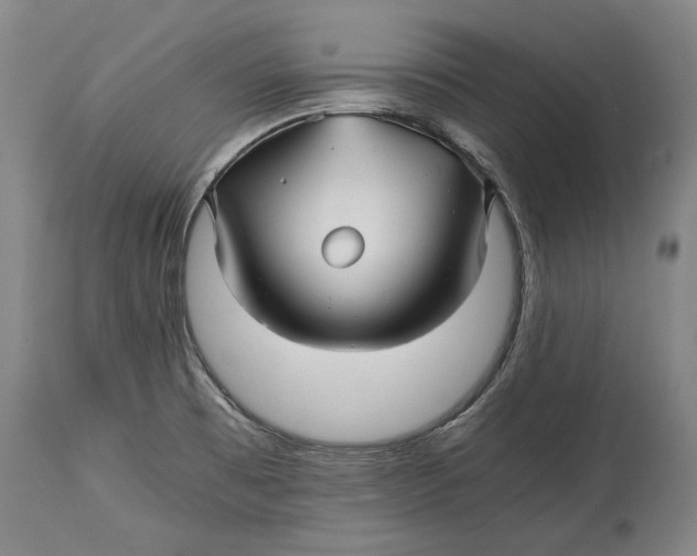 X0000114391473200911061503