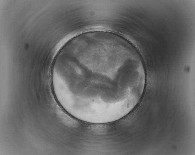 X0000114391474200911061503