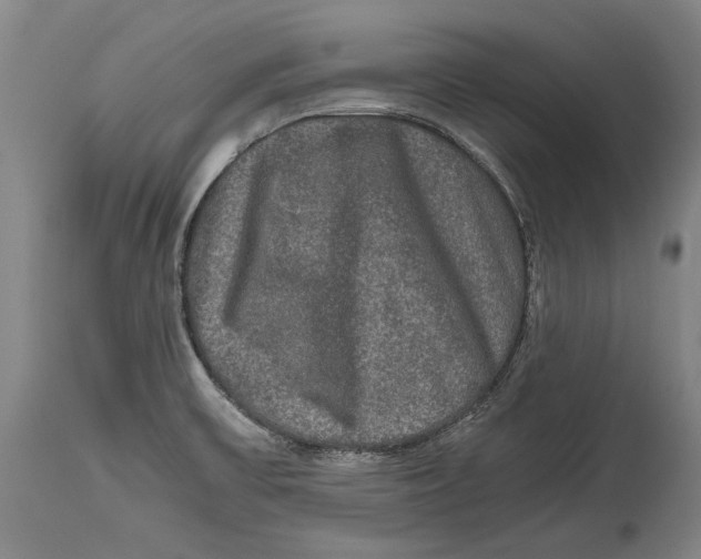 X0000114391475200911061503