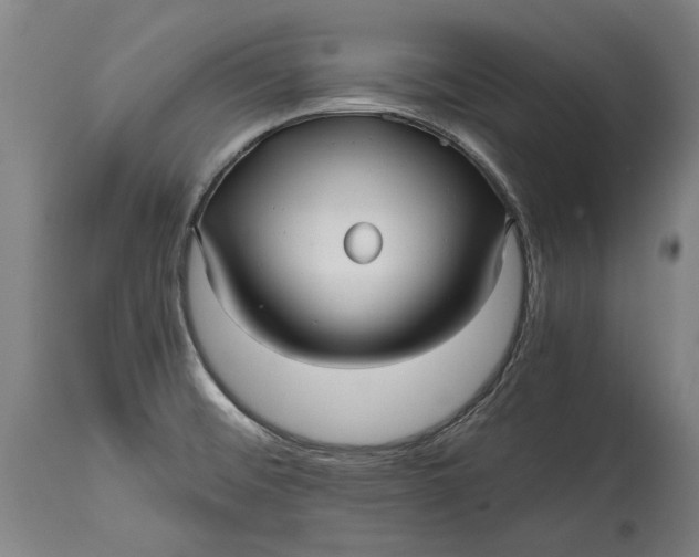 X0000114391476200911061503
