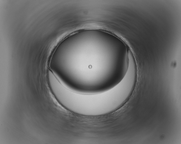 X0000114391477200911061503