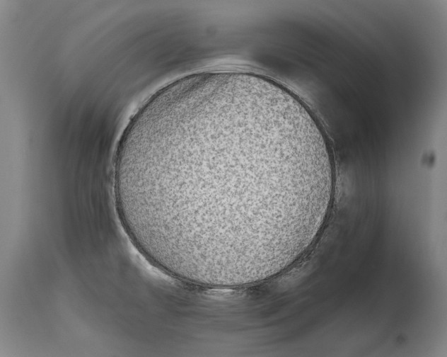 X0000114391478200911061503