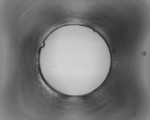 X0000114391479200911061503