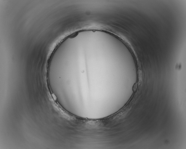 X0000114391480200911061503