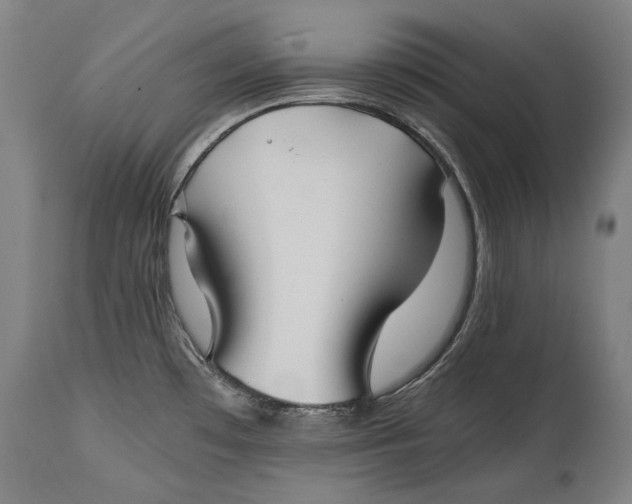 X0000114391481200911061503
