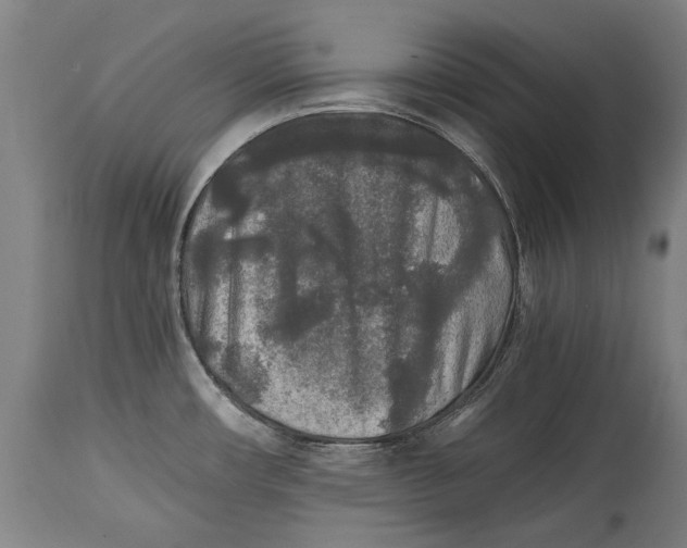 X0000114391482200911061503
