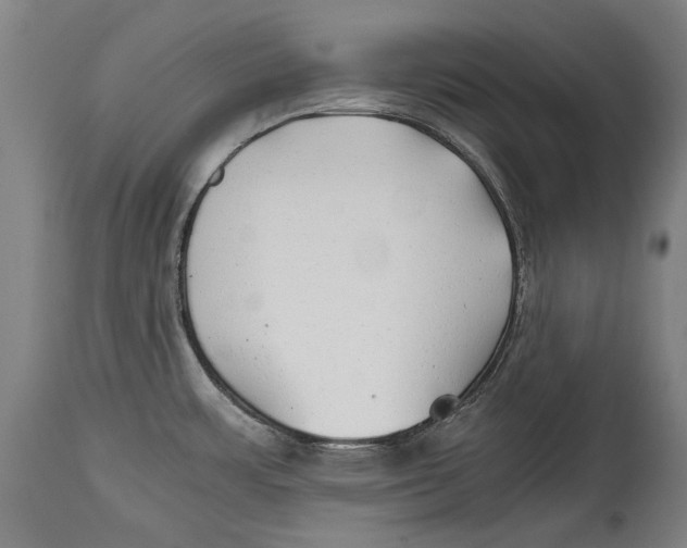 X0000114391483200911061503