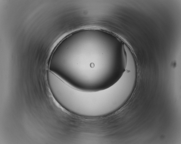 X0000114391484200911061503