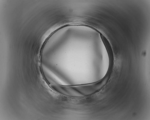 X0000114391485200911061503
