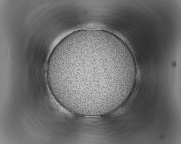 X0000114391486200911061503