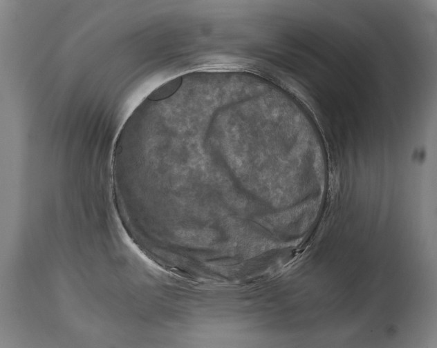 X0000114391487200911061503