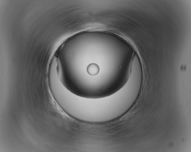 X0000114391488200911061503