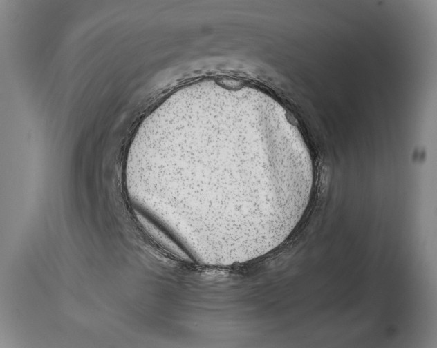 X0000114391489200911061503