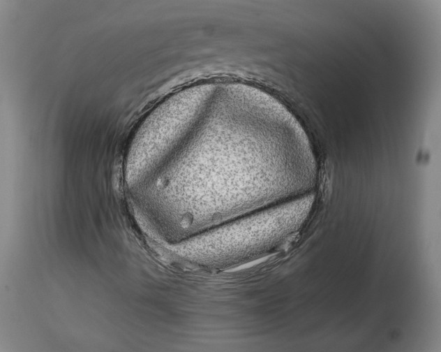 X0000114391490200911061503