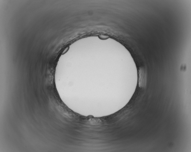 X0000114391491200911061503