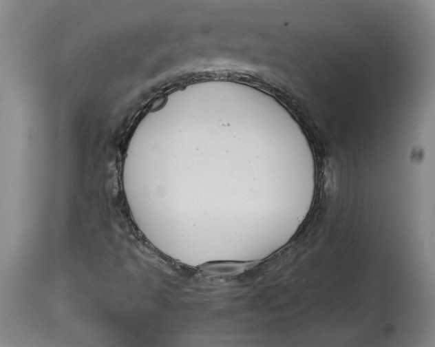 X0000114391493200911061503