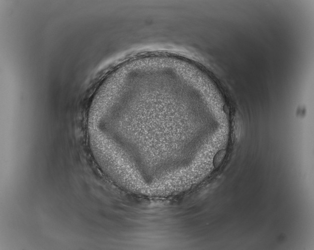 X0000114391494200911061503
