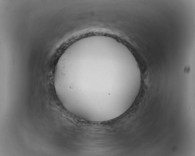 X0000114391495200911061503