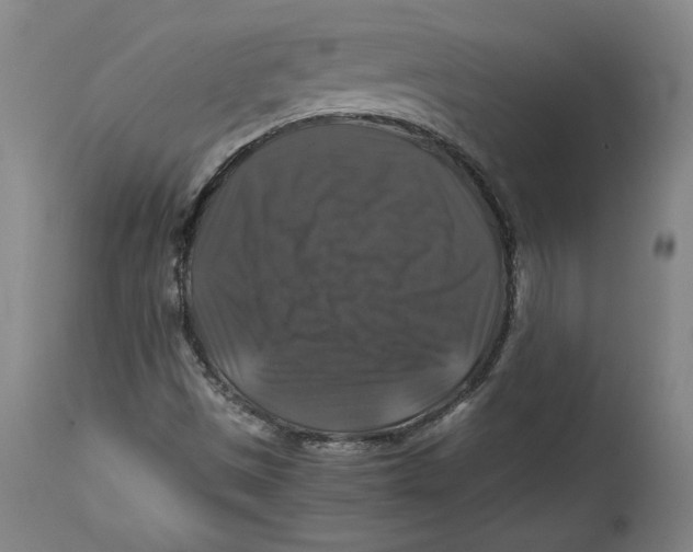 X0000114391497200911061503