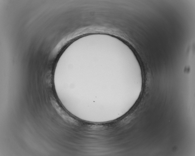 X0000114391499200911061503