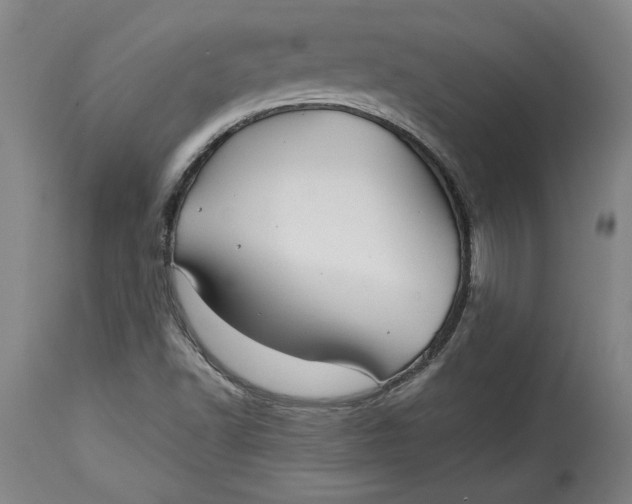X0000114391502200911061503