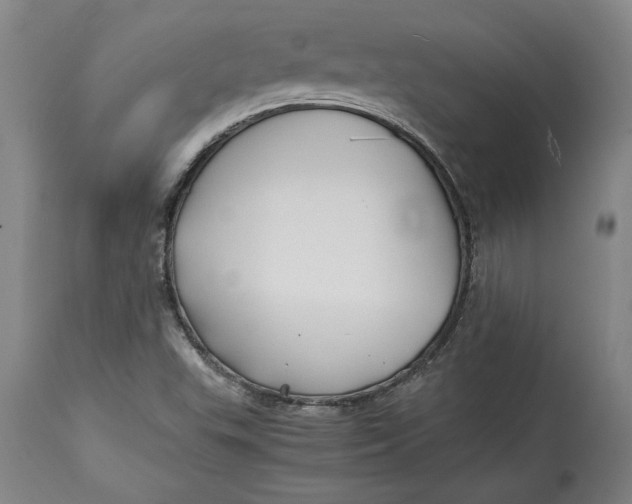 X0000114391503200911061503