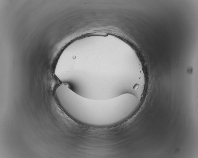 X0000114391506200911061503