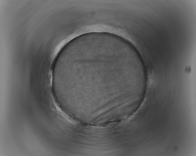 X0000114391509200911061503