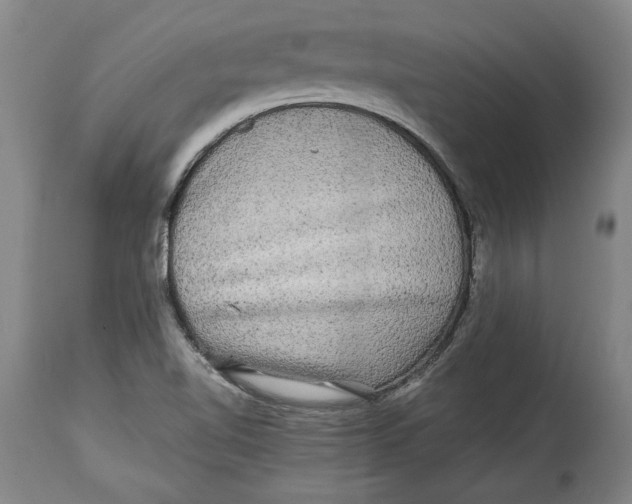 X0000114391510200911061503