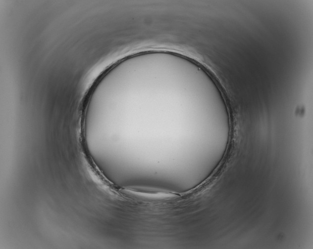 X0000114391511200911061503