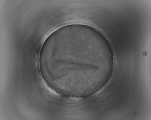 X0000114391513200911061503