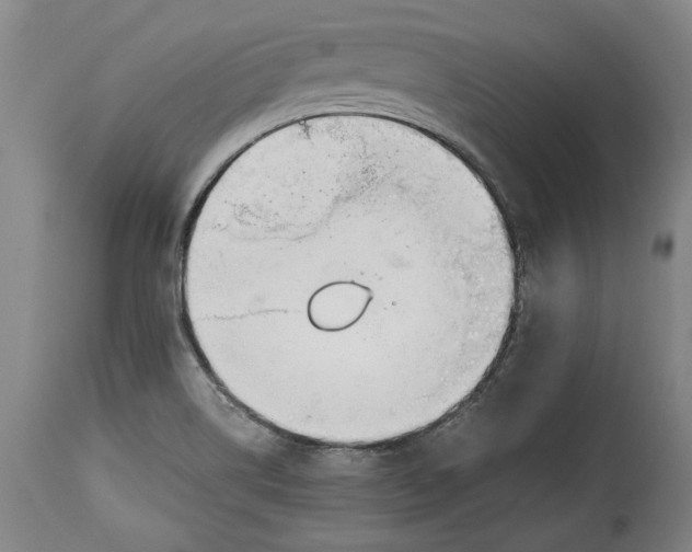 X0000114391514200911061503